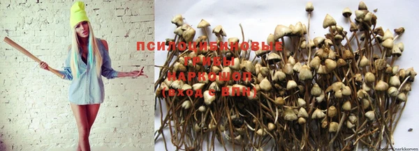 МДМА Беломорск